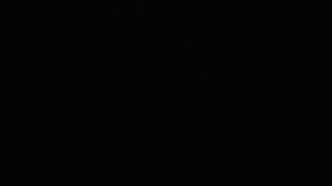 Snapshot of lina_vi chatting on 12.28.24 Lina online show from 12.28.24