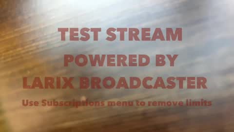 Snapshot of linamurrrr chatting on 04.03.26 Nicolas and Lina online show from 04.03.26