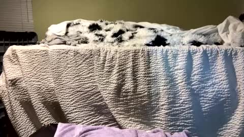 Snapshot of lincolnlongdick chatting on 12.13.24 Richie Rich online show from 12.13.24