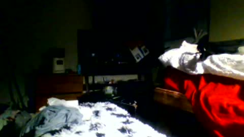 Snapshot of lincolnlongdick chatting on 12.30.24 Richie Rich online show from 12.30.24