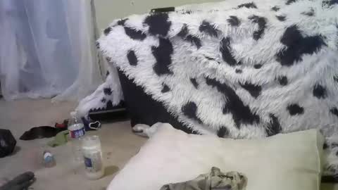 Snapshot of lincolnlongdick chatting on 02.18.25 Richie Rich online show from 02.18.25