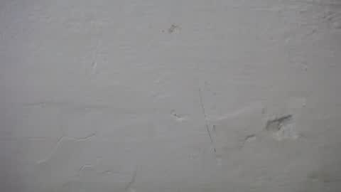 lisa_branch online show from 10.06.25