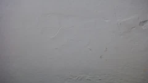 lisa_branch online show from 11.23.25