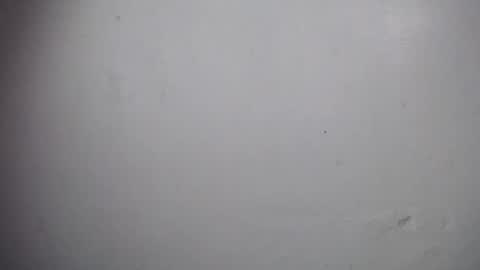 Snapshot of lisa_branch chatting on 12.19.25 lisa_branch online show from 12.19.25