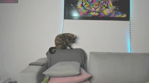 Independent model carolina online show from 03.11.25