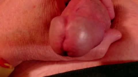 Littlebits online show from 02.23.26