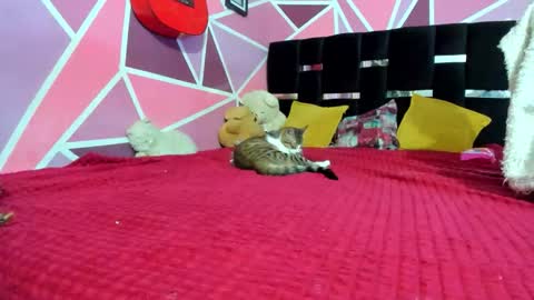          --- Onlyfans Free --  online show from 12.20.25