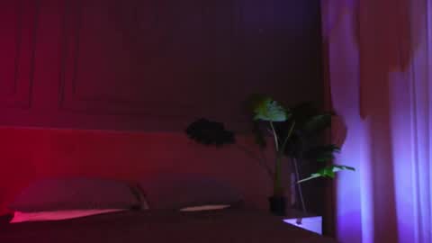 Liv 3 online show from 03.12.26