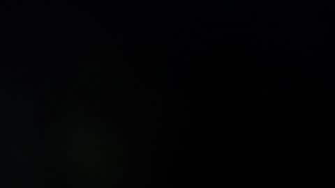 liza honey online show from 01.20.25