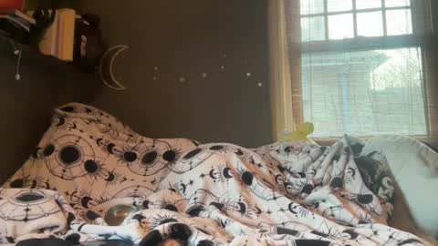 Snapshot of lizzyylovesick chatting on 03.05.25 lizzybunny online show from 03.05.25