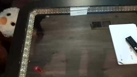 LjCherry online show from 11.01.25