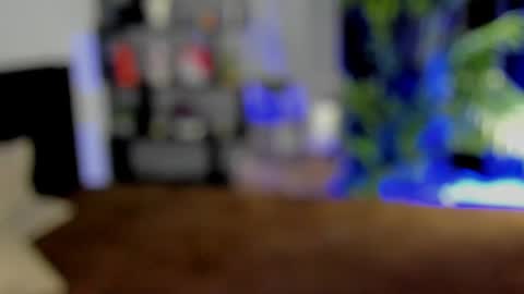 Arina online show from 03.06.25