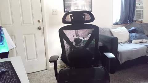 Snapshot of lngdickdaddy chatting on 01.05.26 LongDick Daddy online show from 01.05.26