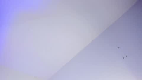 Snapshot of logan_west1 chatting on 10.16.25 Logan online show from 10.16.25