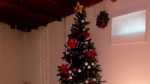 Snapshot of lola_cocks chatting on 12.06.24 mara online show from 12.06.24