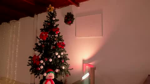 Snapshot of lola_cocks chatting on 12.21.24 mara online show from 12.21.24