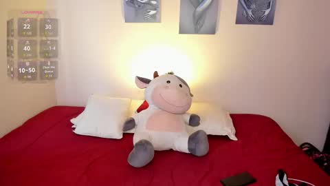 Lola online show from 11.10.25