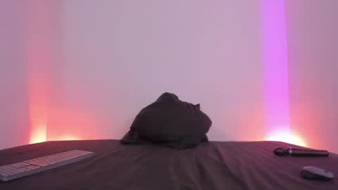 Snapshot of lolap_ chatting on 01.05.25 Lola online show from 01.05.25