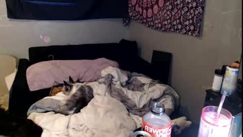 Snapshot of londonray chatting on 11.15.25 londonray online show from 11.15.25