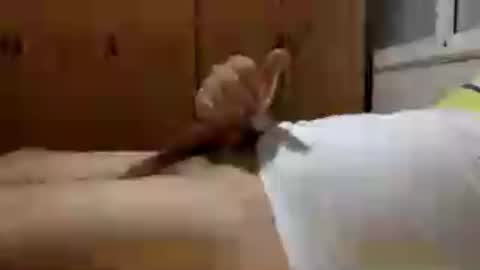 Handsome Cock online show from 07.30.26