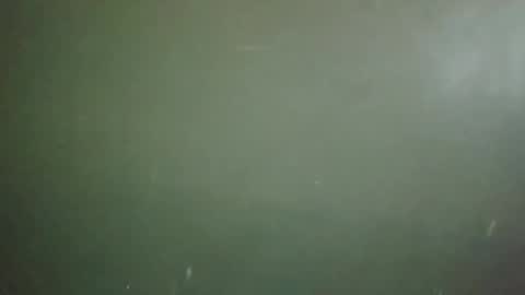 Snapshot of long101212 chatting on 02.18.25 long101212 online show from 02.18.25