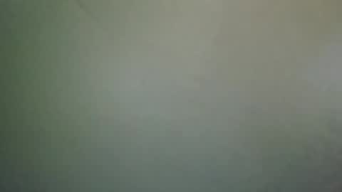 Snapshot of long101212 chatting on 02.28.25 long101212 online show from 02.28.25