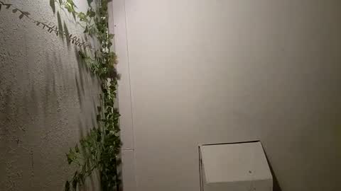 Snapshot of longdick3587 chatting on 02.17.25 longdick3587 online show from 02.17.25