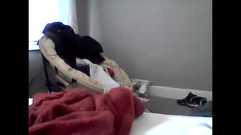 how can i plz u online show from 01.13.26