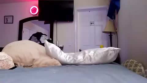 Snapshot of lookatmecum4you chatting on 01.18.25 lookatmecum4you online show from 01.18.25