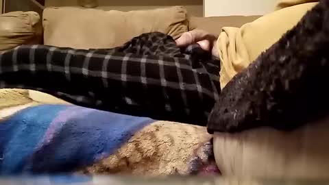 looking4bush online show from 01.13.26