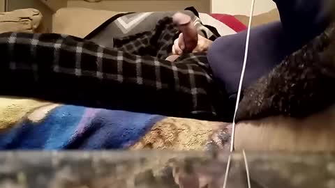 looking4bush online show from 03.18.26