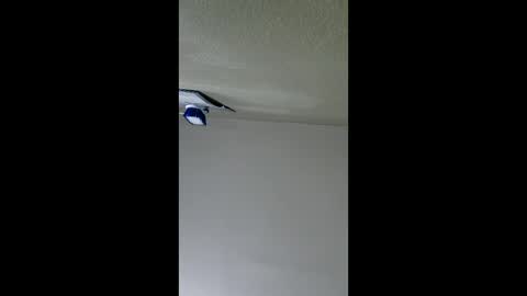 Snapshot of lopezpedro2791 chatting on 01.08.26 2791 3D online show from 01.08.26