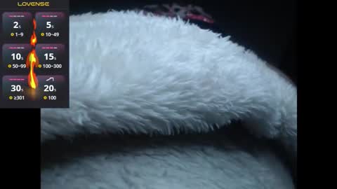 lorenitha online show from 10.27.25