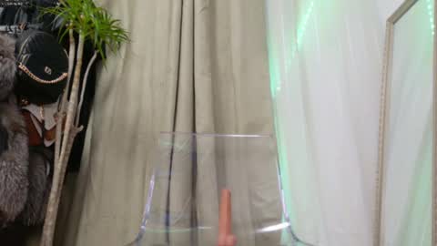 Amelia online show from 02.23.25