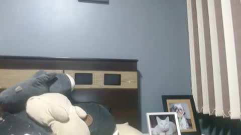 Louis bear online show from 11.16.25