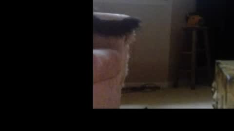 Snapshot of love69bush chatting on 02.04.26 love69bush online show from 02.04.26