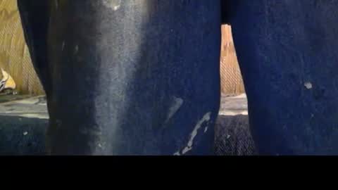 Snapshot of love69bush chatting on 02.08.26 love69bush online show from 02.08.26