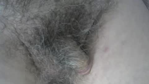 Snapshot of loveabush49 chatting on 11.05.25 loveabush49 online show from 11.05.25