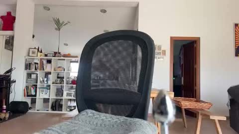 Loveisperfect online show from 01.17.26