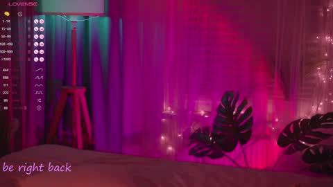 Nelly online show from 01.31.25