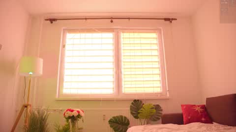 Nelly online show from 11.18.25