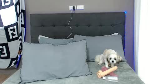 Snapshot of lovely_jastine chatting on 12.02.24 Jastine online show from 12.02.24