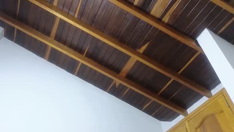 Snapshot of lovely_trix_ chatting on 01.20.25 Trix online show from 01.20.25