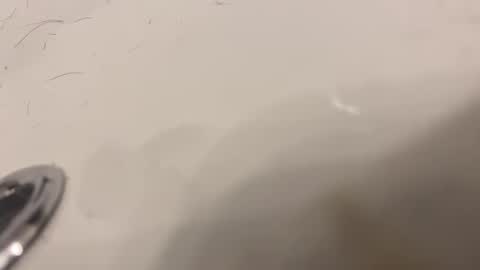 lovetoplayinmnwithu online show from 01.30.25