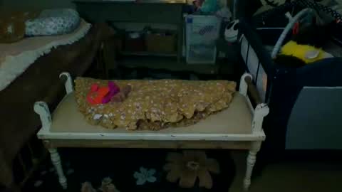 Snapshot of lovetubes101 chatting on 09.19.25 lovetubes101 online show from 09.19.25