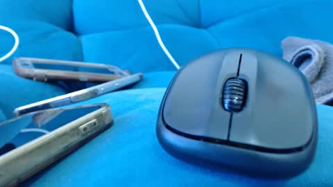 cutelucy 3 online show from 01.19.25