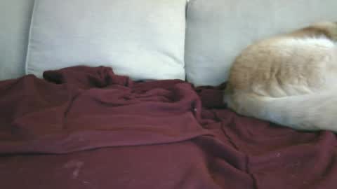 Snapshot of lowhangingfruit93 chatting on 01.26.25 lowhangingfruit93 online show from 01.26.25