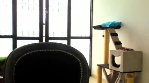 luara__01__lecat_1 online show from 11.24.25