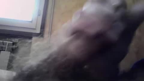 lucafava90 online show from 01.04.25