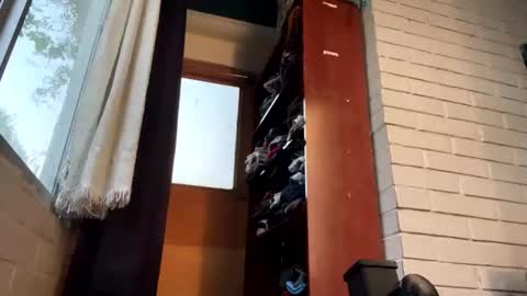 Snapshot of luchosaando chatting on 12.22.24 Felipe online show from 12.22.24